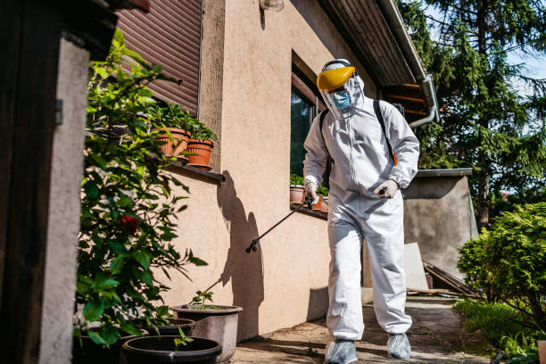 Best Bed Bug Extermination  in Dash Point, WA