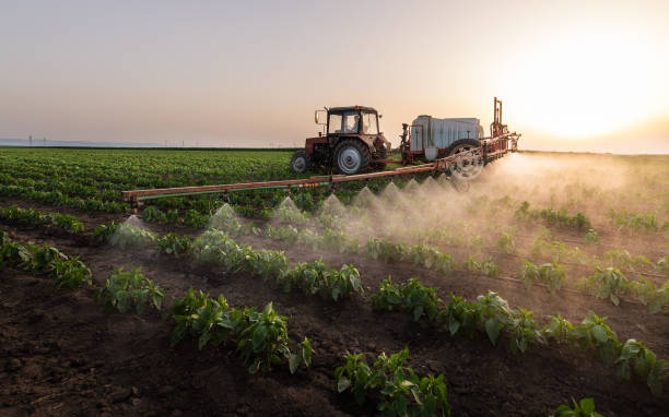 Best Pest Control Cost  in Dash Point, WA