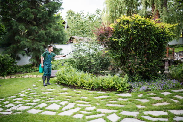 Best Best Pest Control Companies  in Dash Point, WA