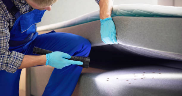 Best Wasp Removal Services  in Dash Point, WA