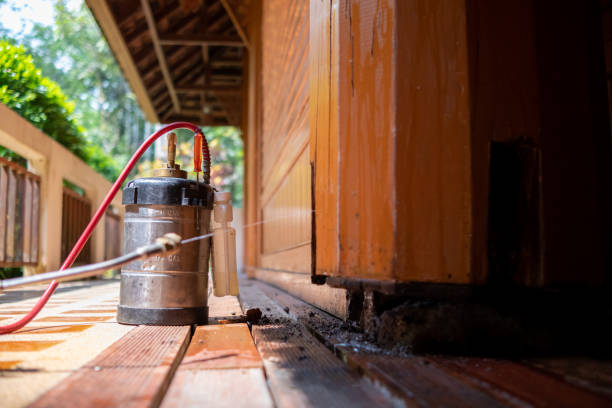 Best Mosquito Control Services  in Dash Point, WA